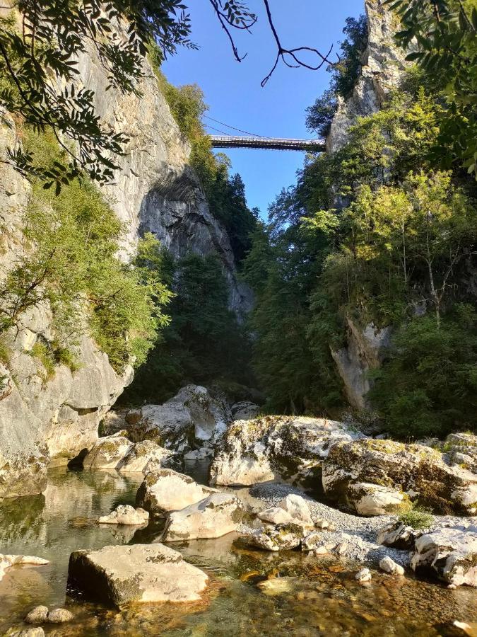 Entre Lacs Et Montagnes Cusy Zewnętrze zdjęcie